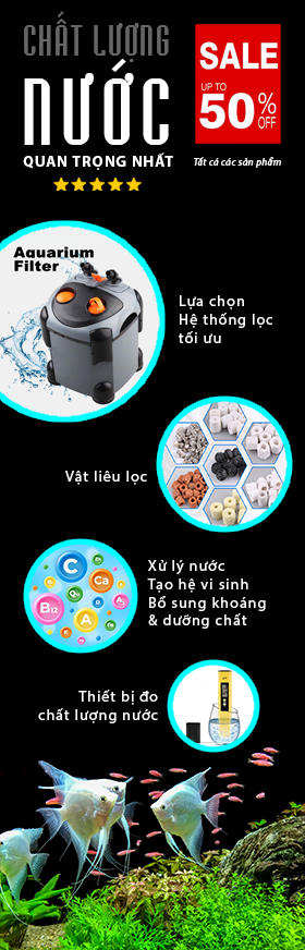 Chất lượng nước là quan trọng nhất