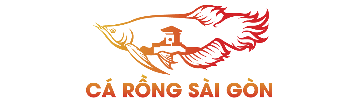 Cá Rồng Sài Gòn