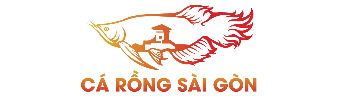 Cá Rồng Sài Gòn