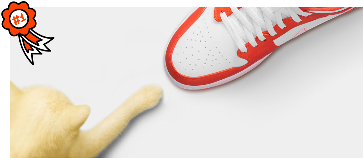 Câu chuyện về tình yêu <span> và niềm đam mê mãnh liệt với giày dép </span>