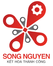 songnguyenvn