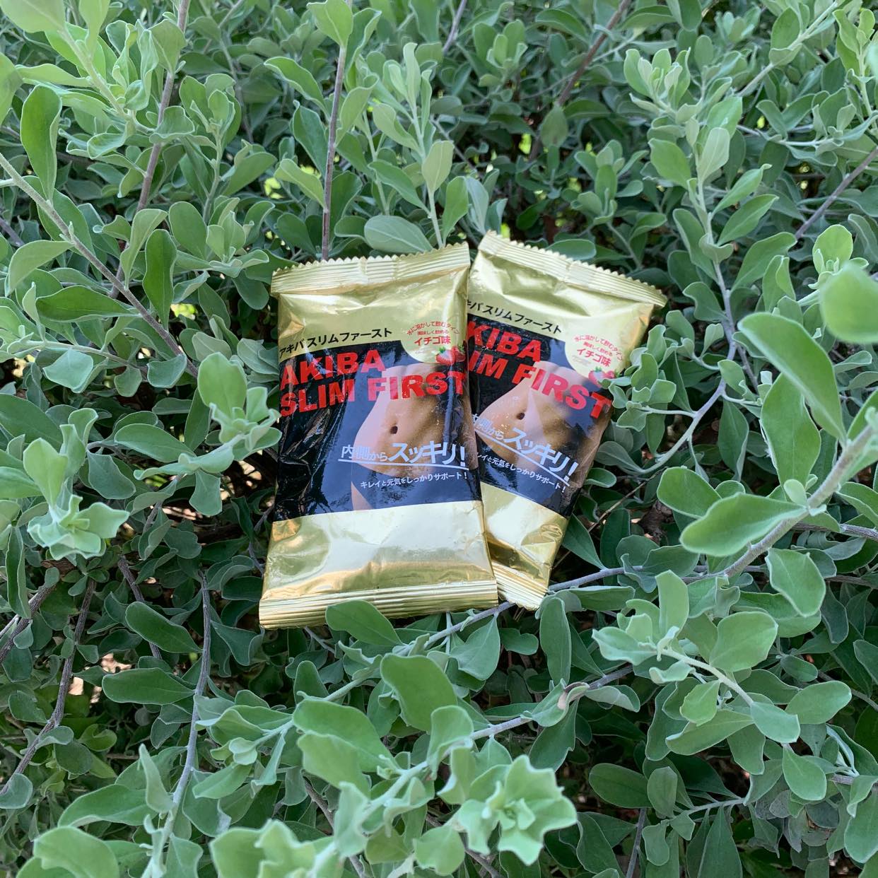 Akibapharmavn – AKIBA PHARMA Viet Nam