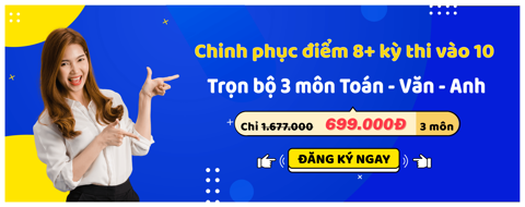 Colearn Store