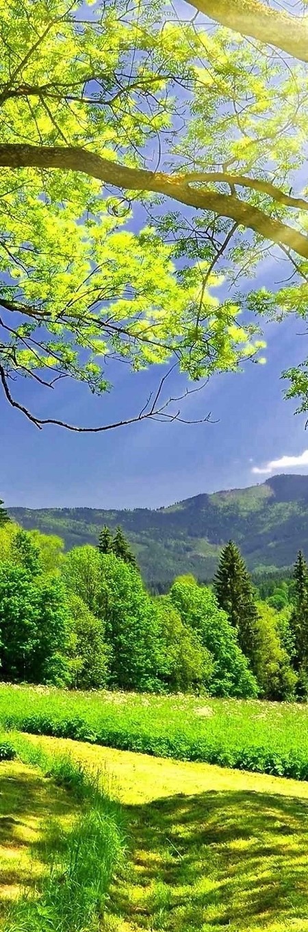 BỘ SƯU TẬP CAO CẤP