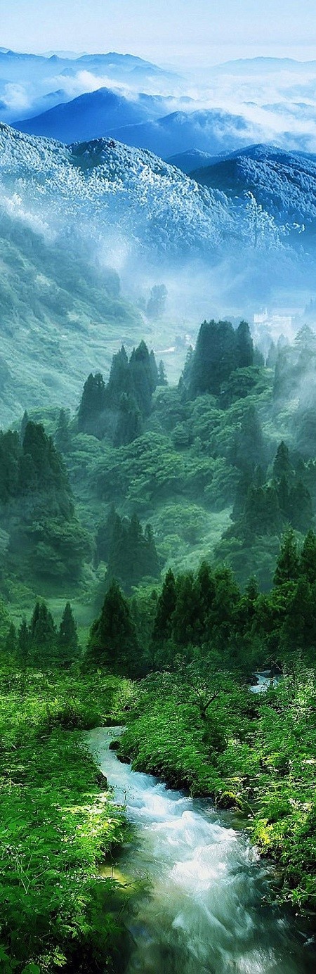 BỘ SƯU TẬP MỸ PHẨM