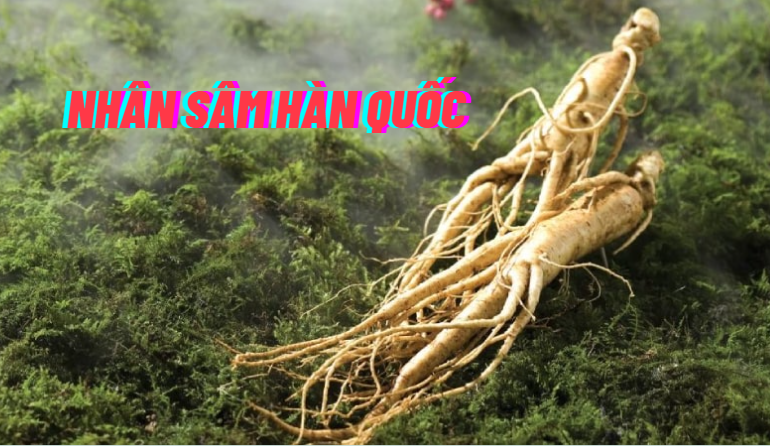 quatanghanquoc.com.vn