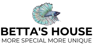 Betta's House - Cửa hàng cá cảnh