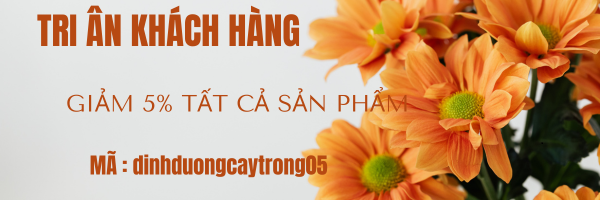 Sản phẩm nổi bật