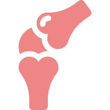 Cơ - Xương - Khớp