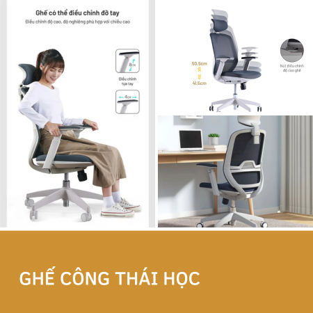 Ghế Công Thái Học - Icon