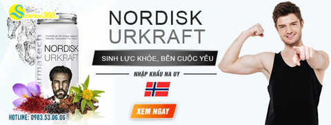 banner top 2