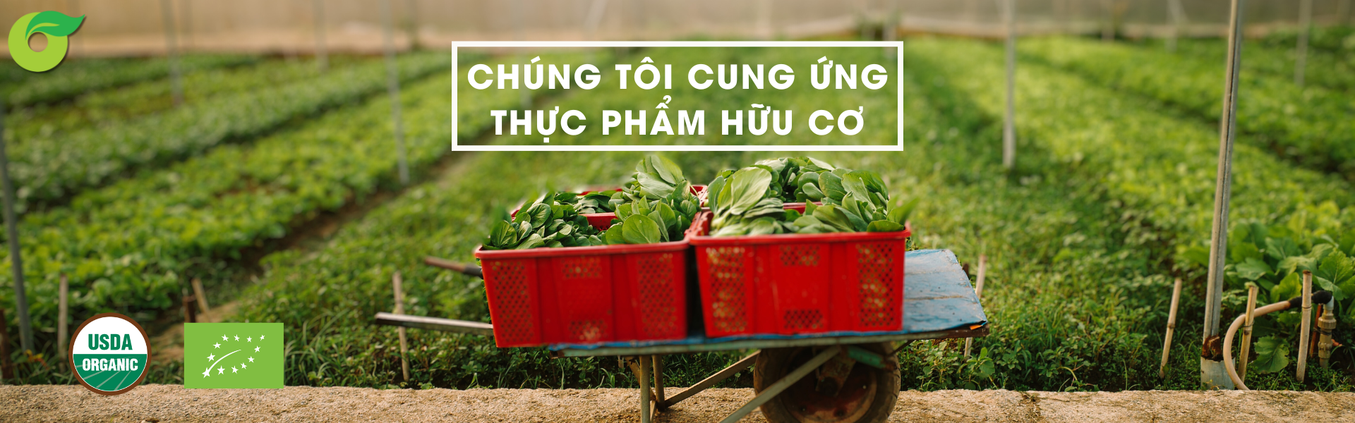 Organica - Cung cấp các loại thực phẩm hữu cơ được chứng nhận quốc tế