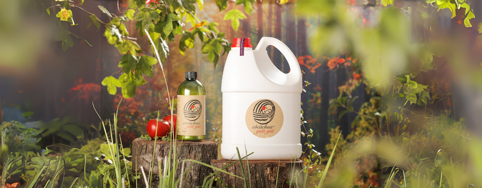 chương trình khuyến mãi 2