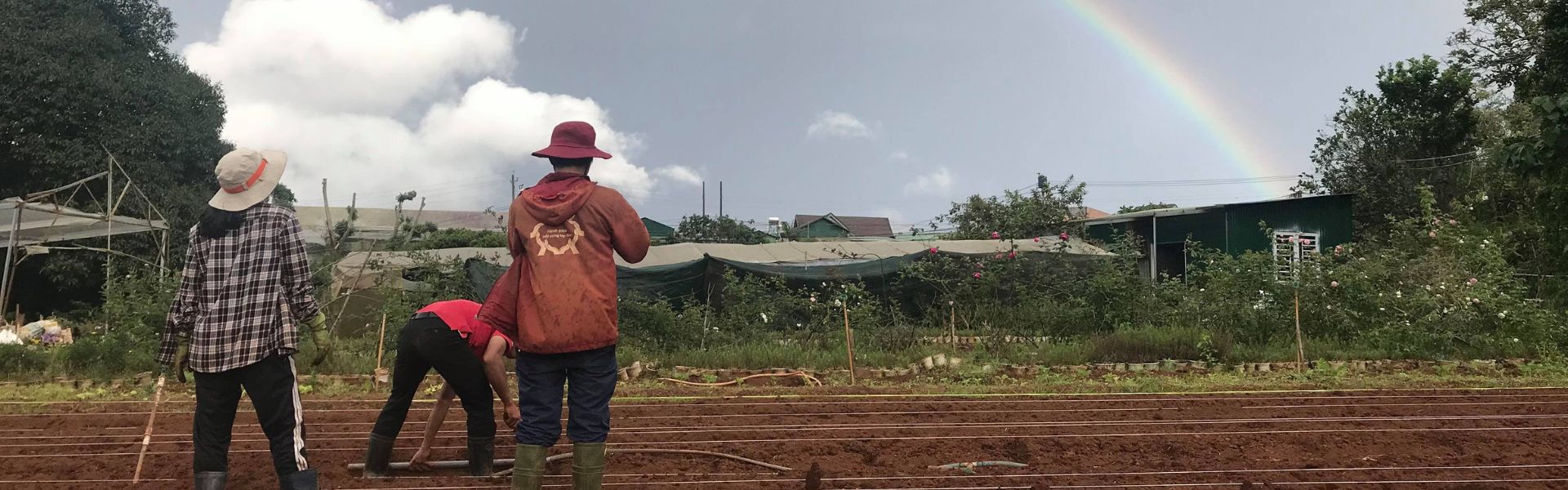 Sản phẩm khuyến mãi