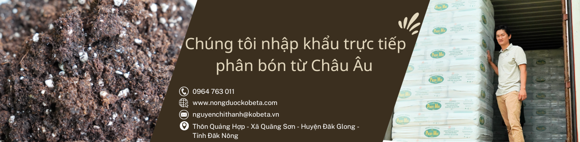 Giá Thể Trồng Cây