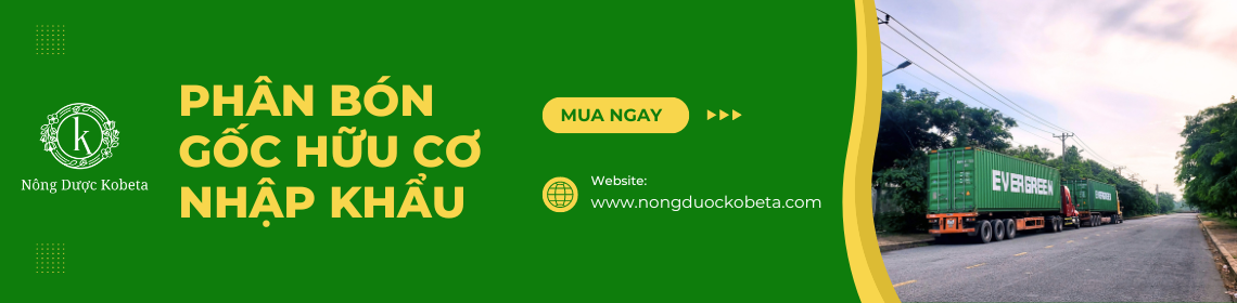 	Phân bón gốc Hữu Cơ  