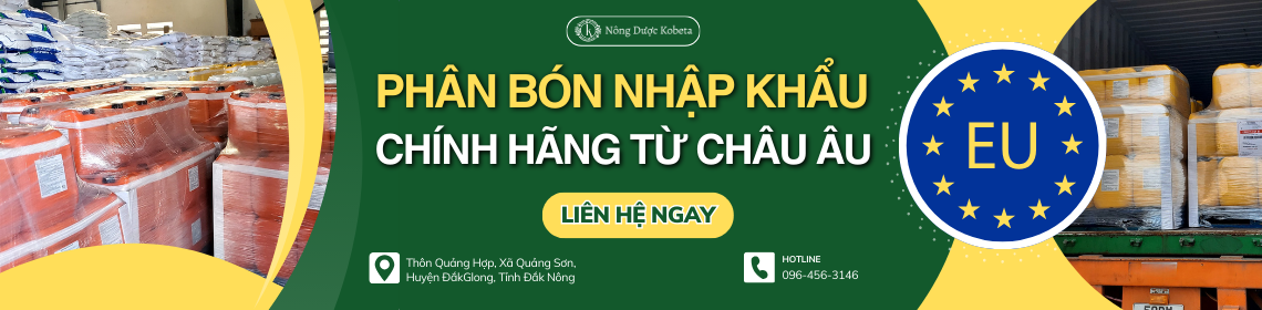 phân bón giá thể nhập khẩu