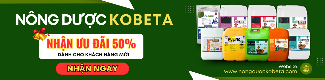 phân bón hữu cơ