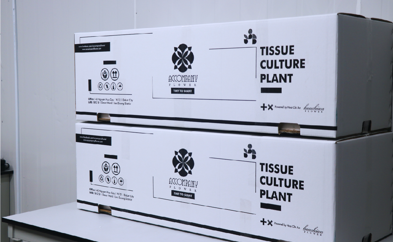 PACKAGING STANDARD