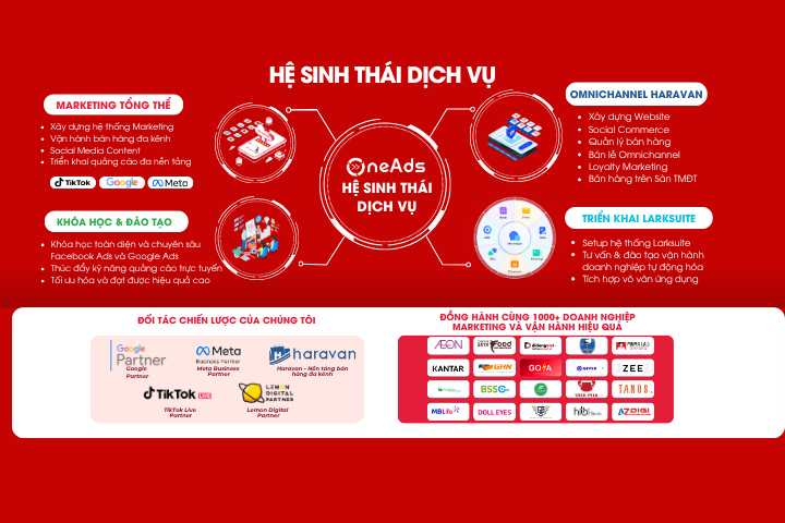 Chúng tôi làm gì