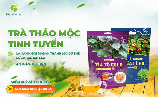 Các ưu đãi của chúng tôi