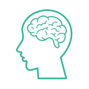 Bổ não - thần kinh