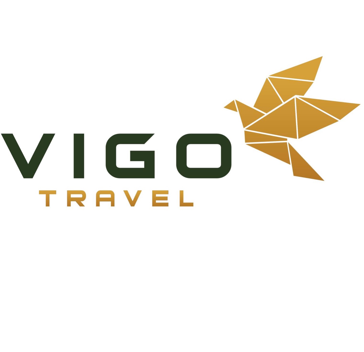 VIGO Travel