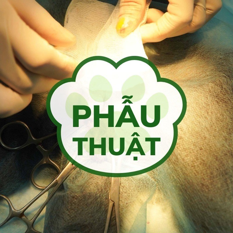 Phẫu thuật