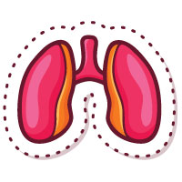 Dự phòng & hỗ trợ hô hấp