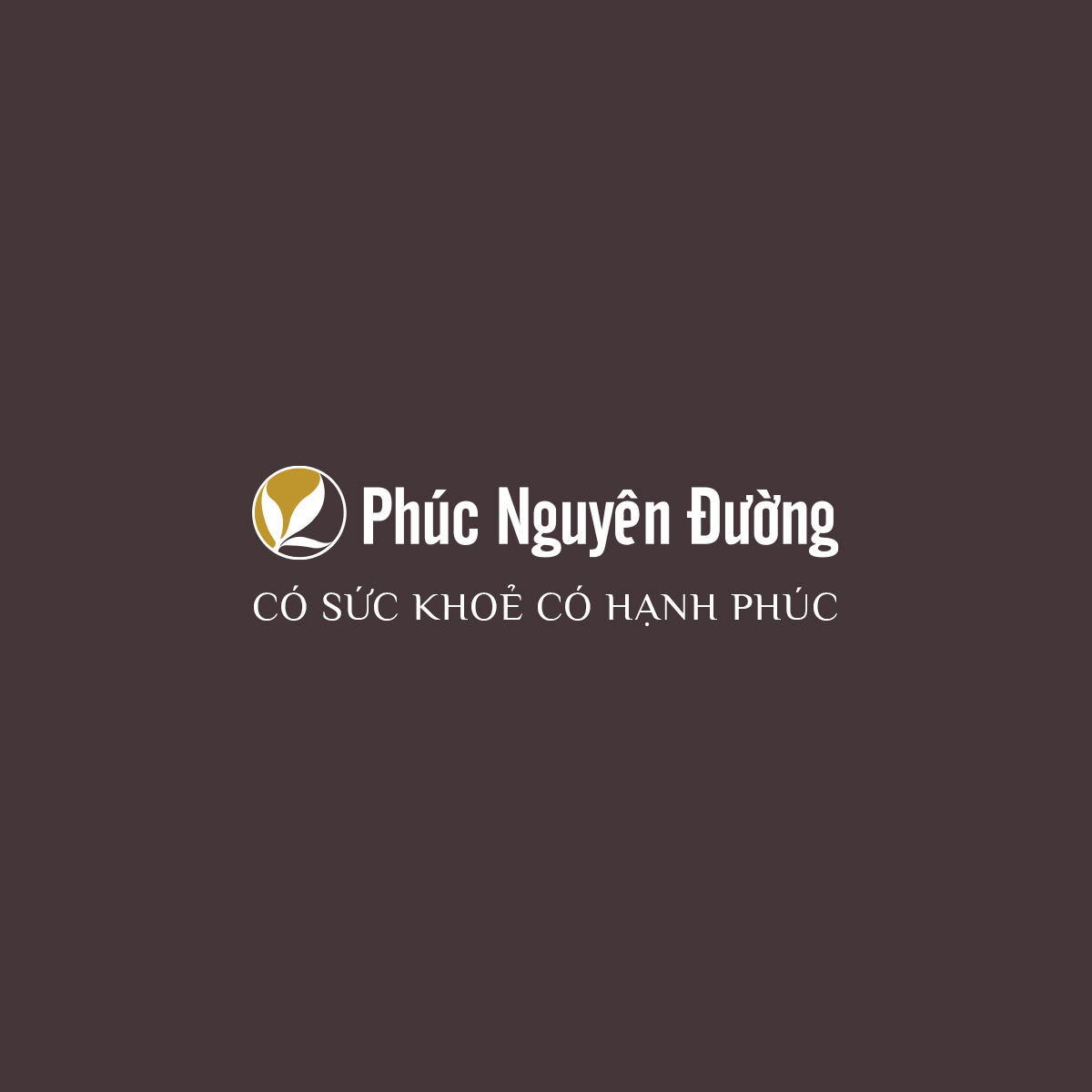 phucnguyenduong.com.vn
