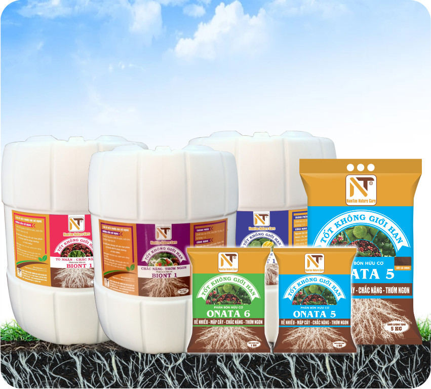 DƯỠNG RỄ - NUÔI TRÁI