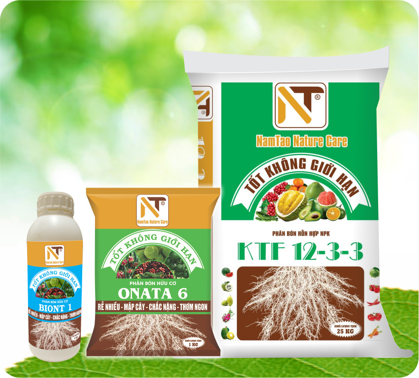 NUÔI CÂY CON - PHỤC HỒI CÂY