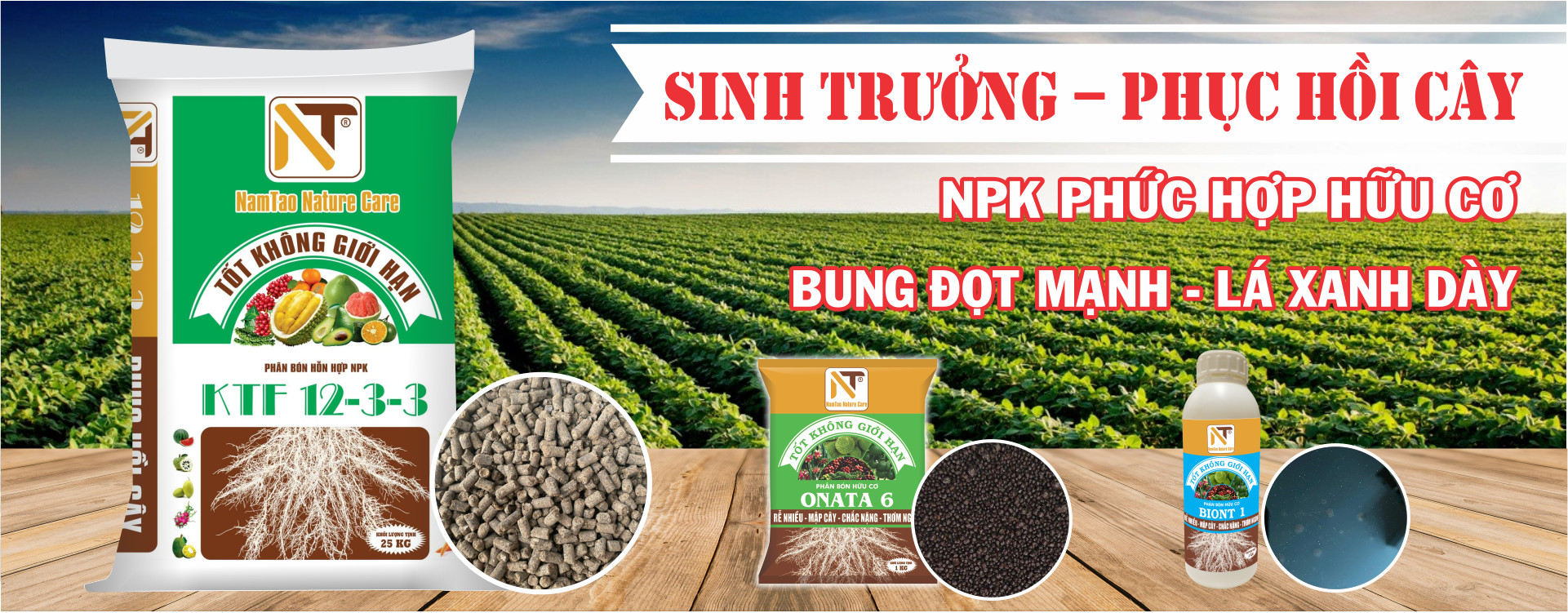 chương trình khuyến mãi 3