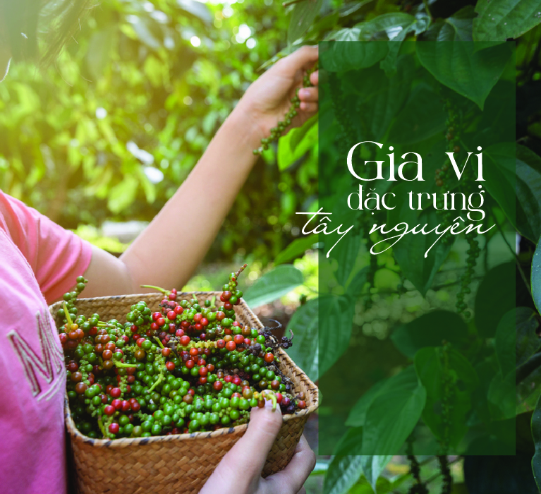 Gia vị Tây Nguyên