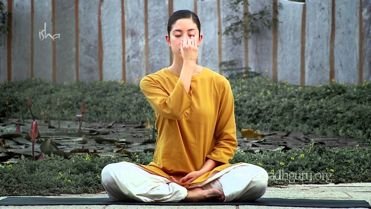 Các lớp học yoga miễn phí
