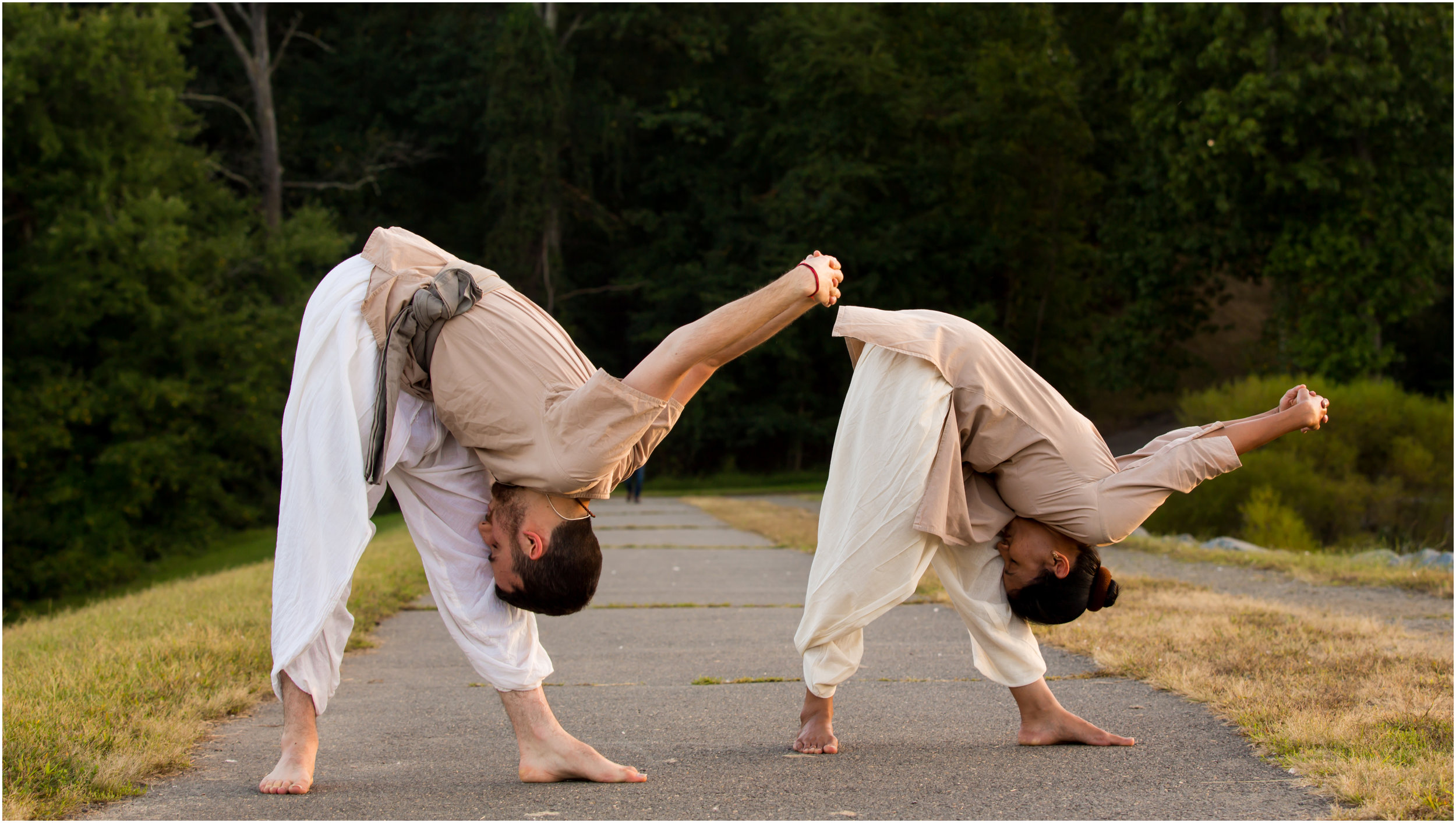 Các lớp học yoga căn bản
