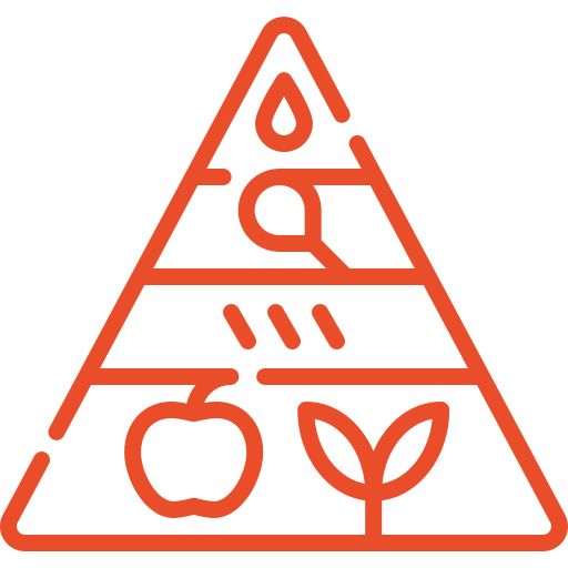 Bổ sung dinh dưỡng