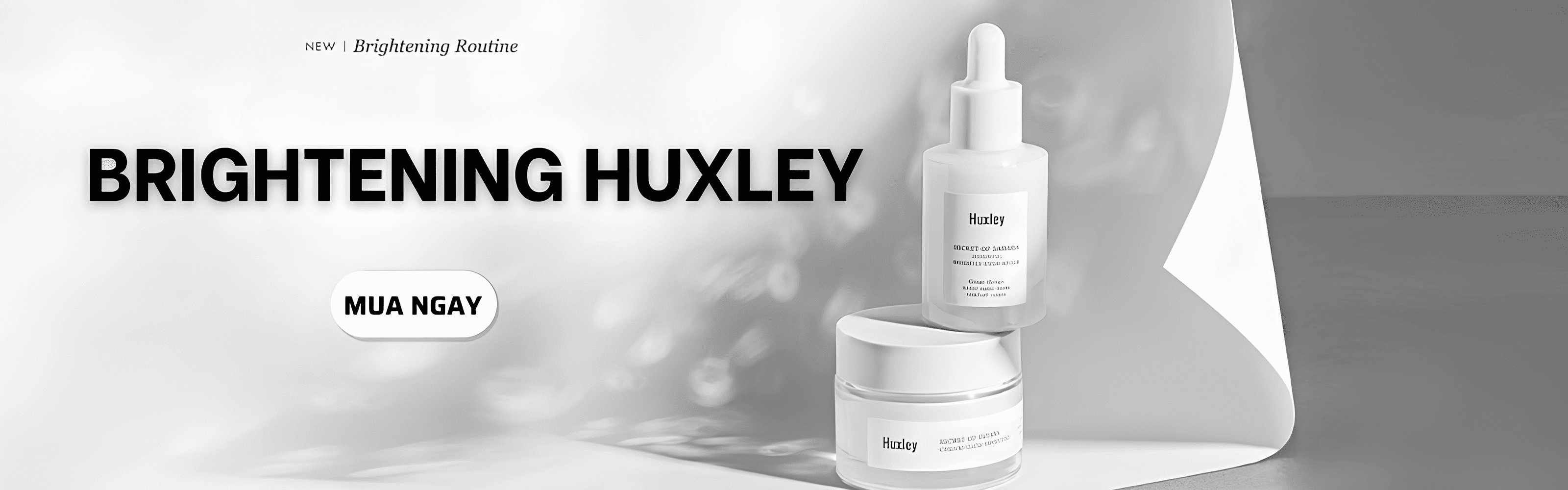 Sản phẩm nổi bật