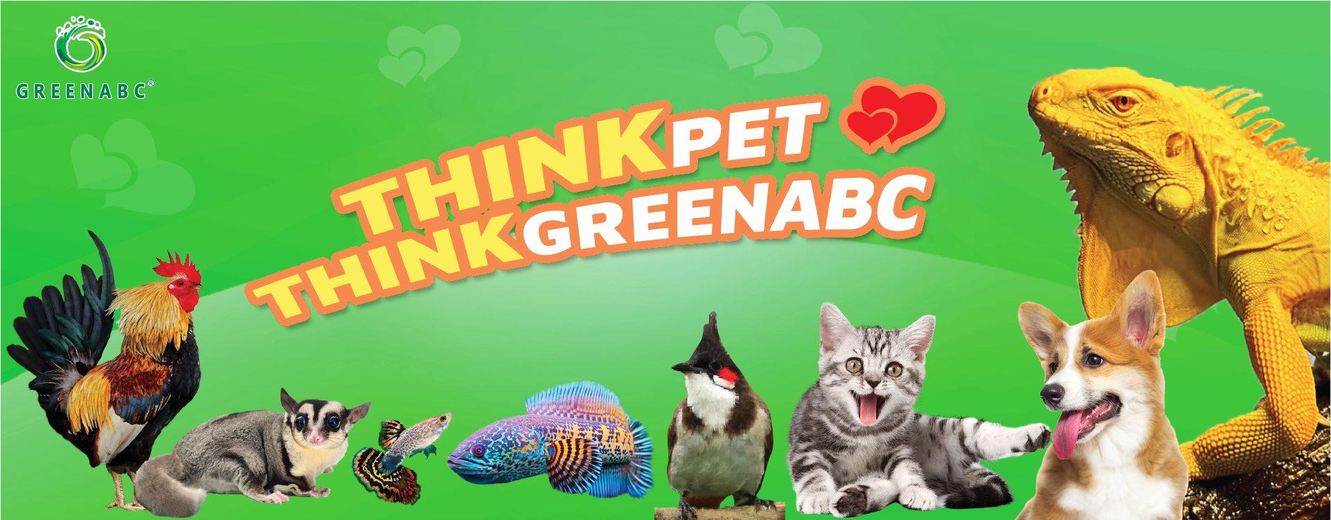 Think Pet Think Greenabc