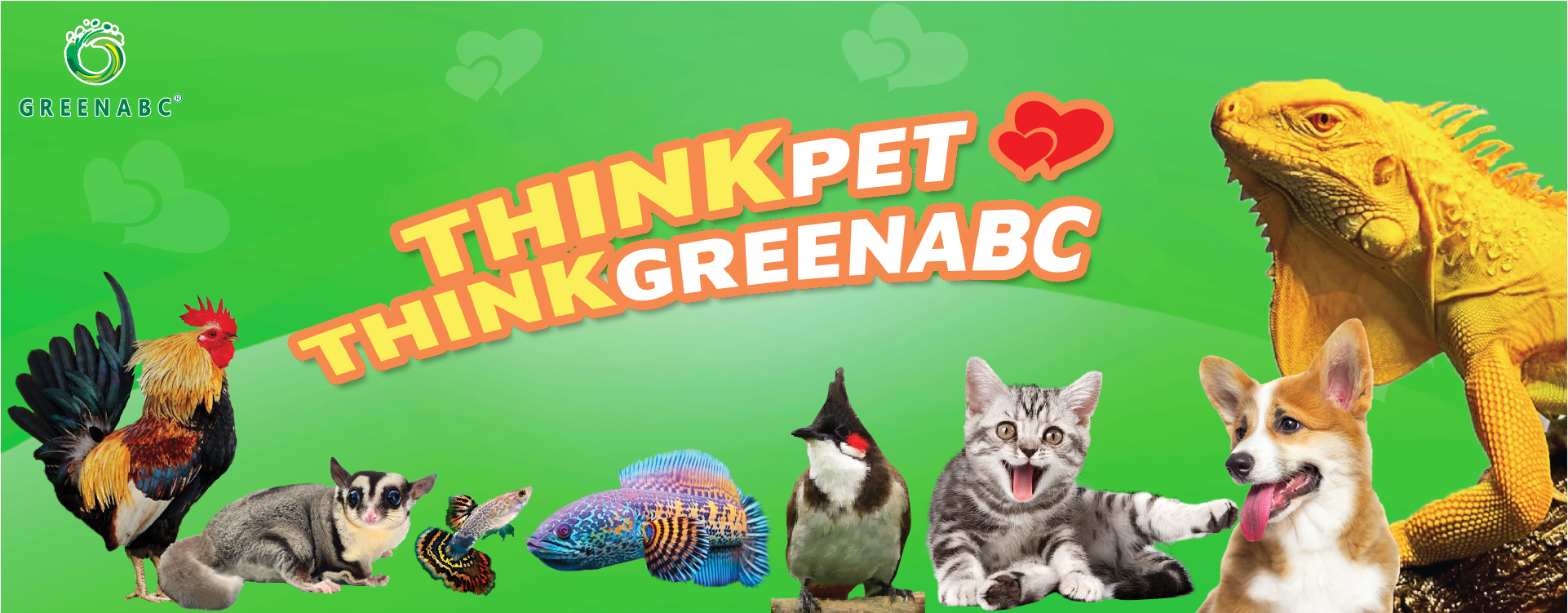 Think Pet Think Greenabc