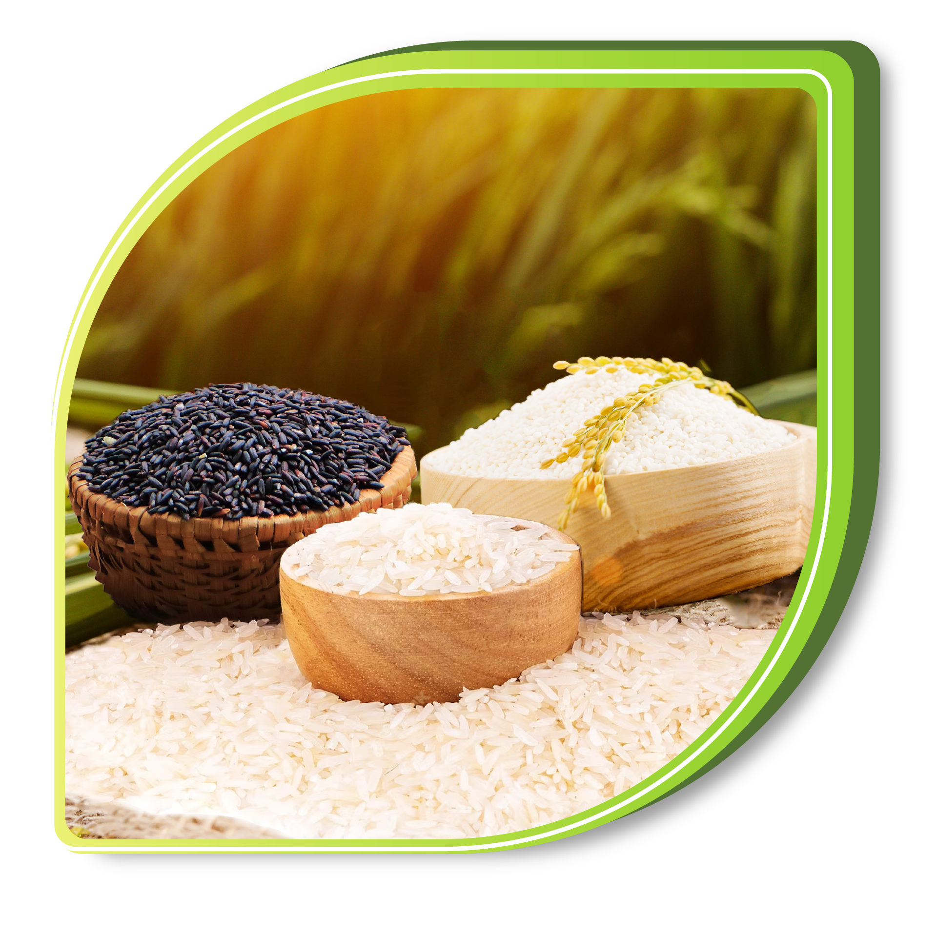 Kinh doanh lương thực