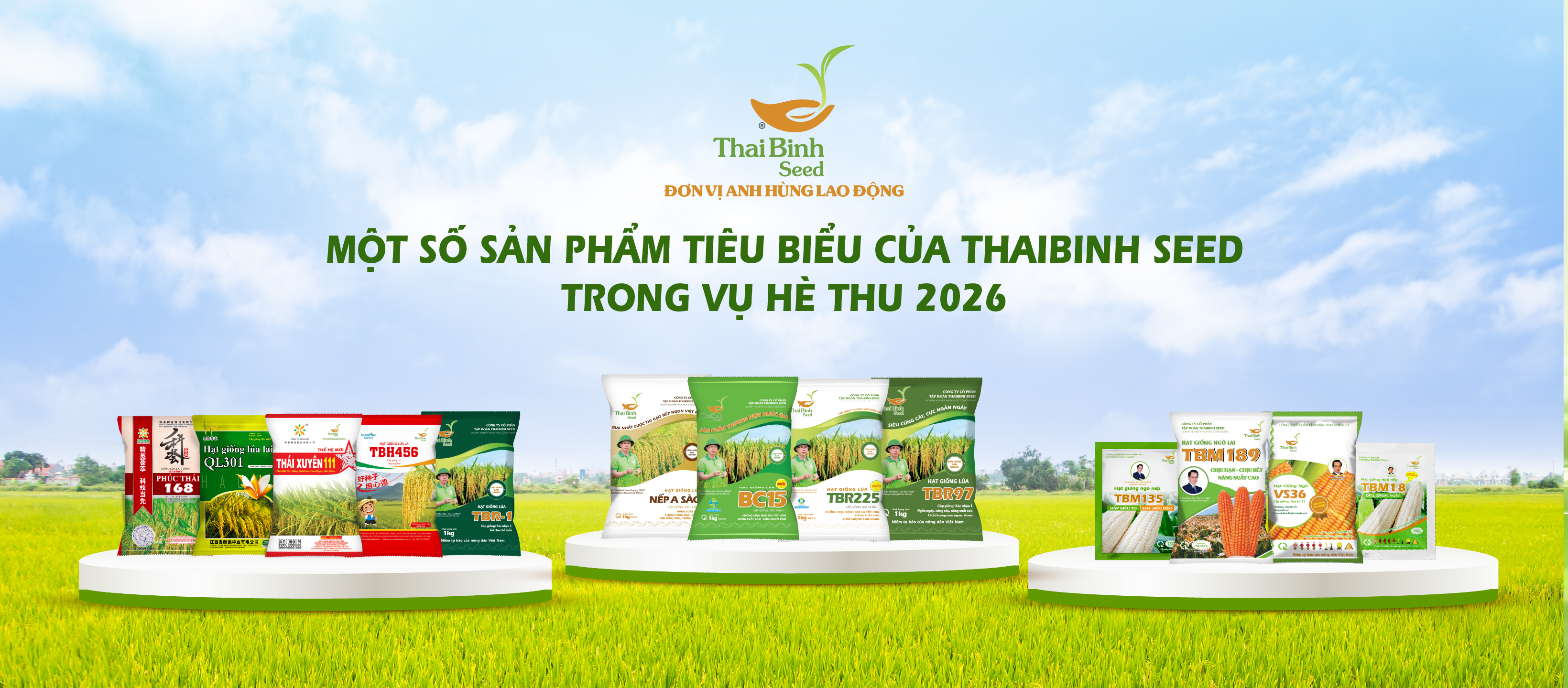ThaiBinh Seed 54 nam