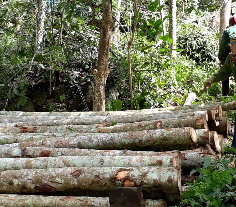 KHÁM PHÁ KHẢ NĂNG VÔ TẬN CỦA NGUỒN NGUYÊN LIỆU XANH