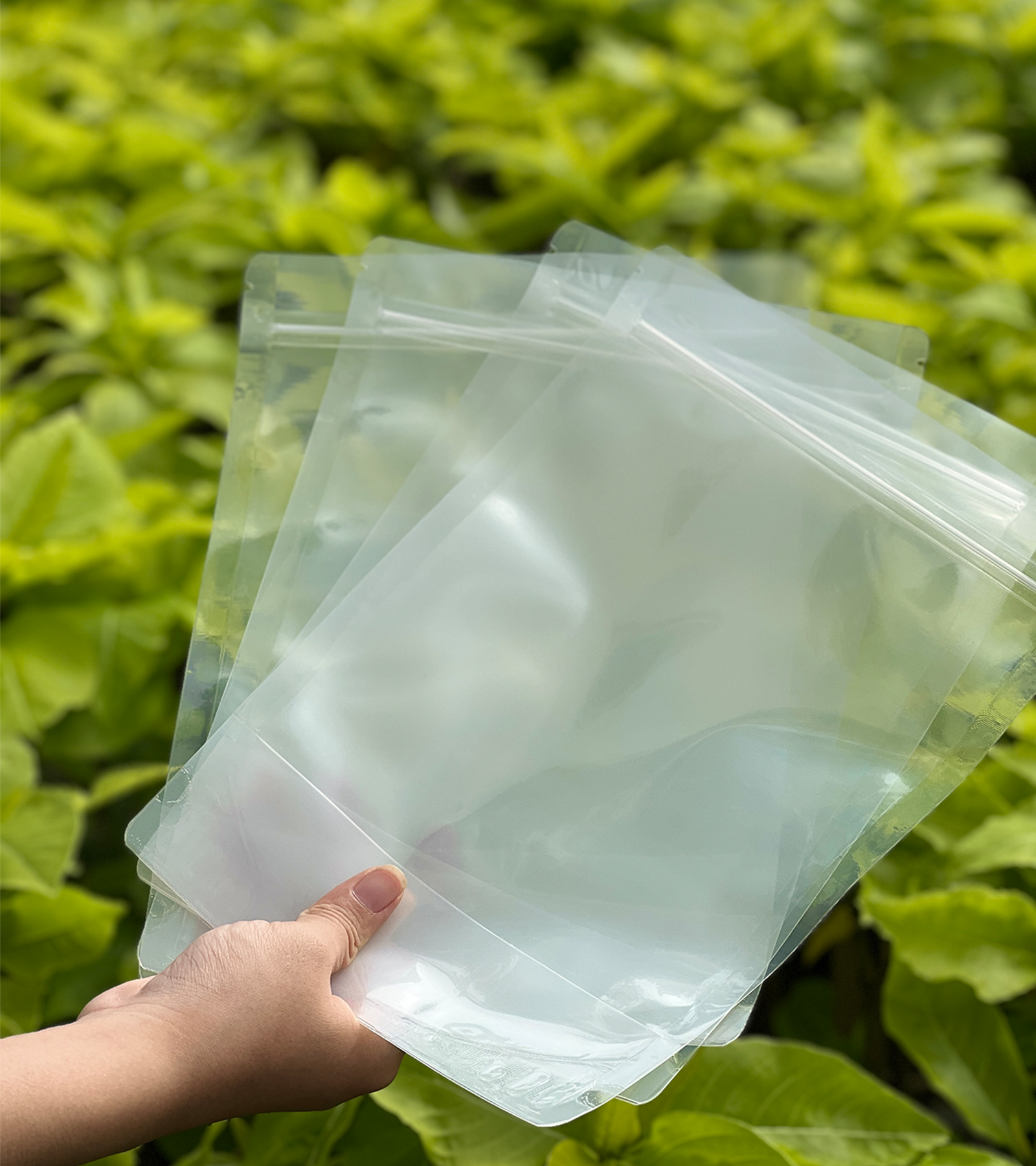 XƯỞNG SẢN XUẤT BAO BÌ