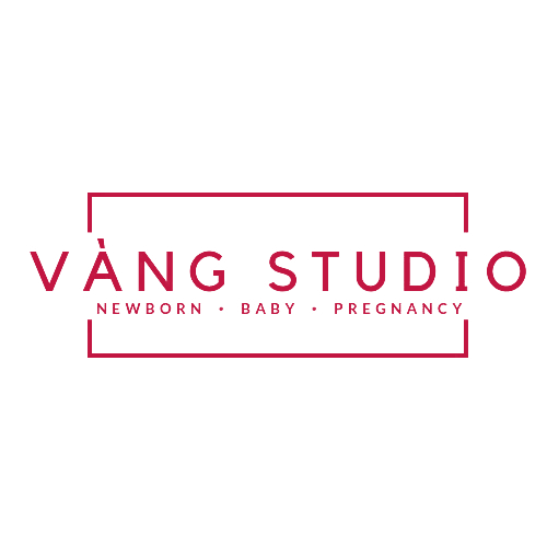 vangstudio