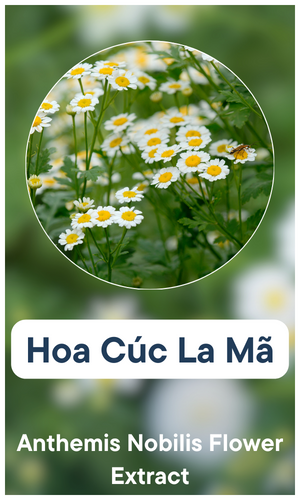 brand_14_title