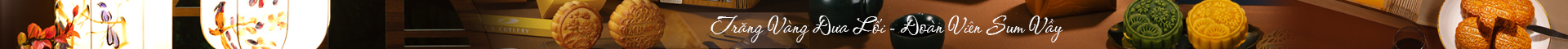 banner-topbar