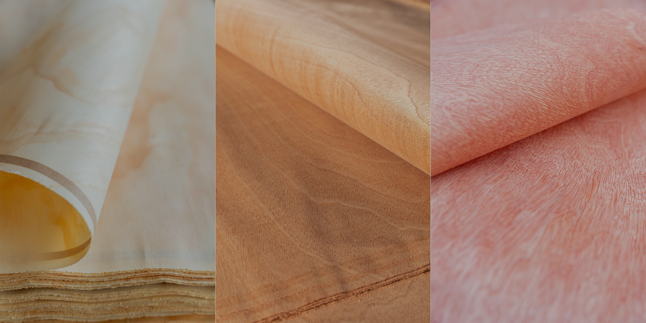 Thi công công trình