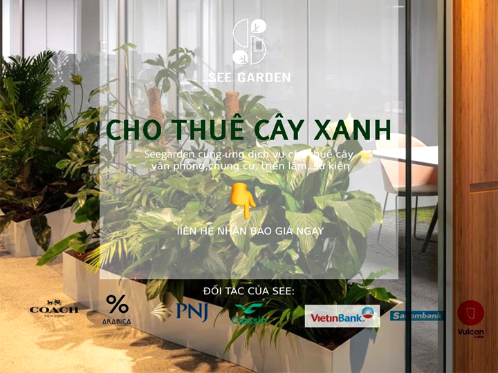 Dịch Vụ Thuê Cây 