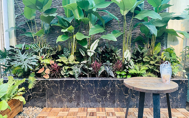 See Garden